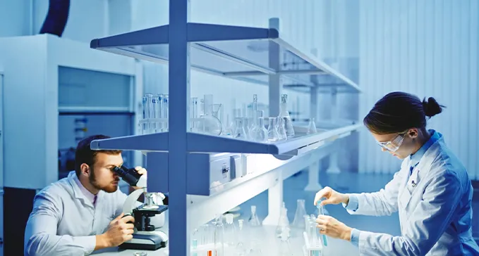 Shijiazhuang Qimeida Rubber Material Products Co., Ltd.
